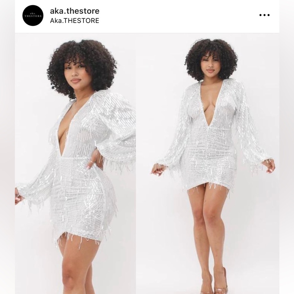 Hera Collection Silver Sequin Fringe Mini Dress